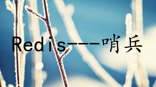Redis---哨兵服务