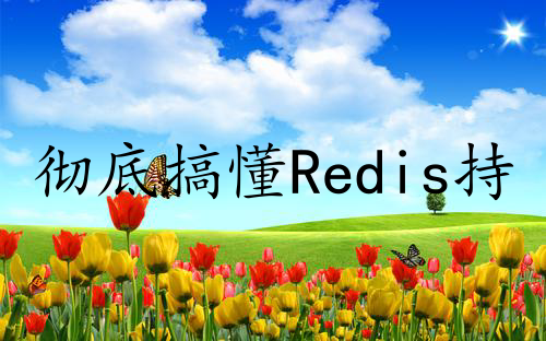 彻底搞懂Redis持久化机制，轻松应对工作面试