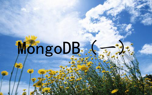MongoDB（一）
