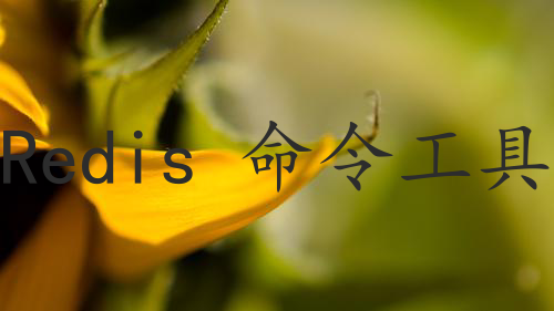 Redis 命令工具