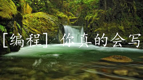 [编程] 你真的会写函数注释？这里给你一个答案