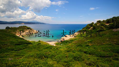 大咖论道，大模型时代软件研发效率革命